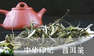 中华印记 普洱茶/2023041071925